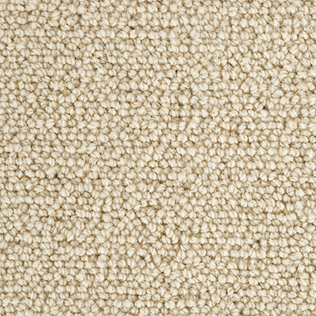 Wool Jasmine