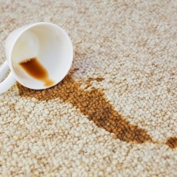 5 Reasons your next carpets should be Eazi Clean