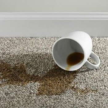 Remedies for carpet stains